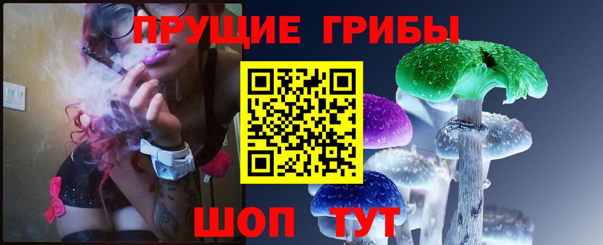 Галлюциногенные грибы Psilocybine cubensis Джанкой